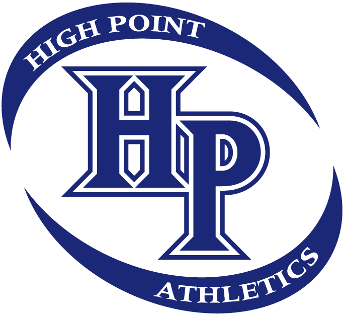 High Point Panthers 1996-2003 Alternate Logo DIY iron on transfer (heat transfer)